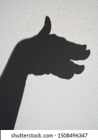 A Hand Creating A Shadow Puppet Of A Dog Or Crocodile On A White Wall.