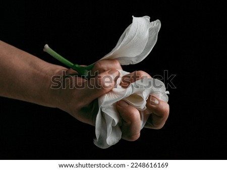 hand crumpling white fragile flower, metaphor of violence abuse aggression