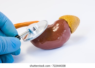 Hand of doctor in glove with stethoscope and 3D shape of kidney. Photos idea where surgeon or general practitioner conducts preoperative diagnosis or diagnosis of disease of kidney or adrenal gland