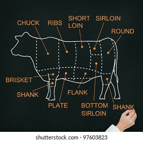 Hand Drawing Cow And Cut Of Beef Or Beef Chart