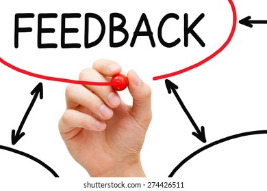 Hand Drawing Feedback Flow Chart On Stock Photo 274426511 | Shutterstock