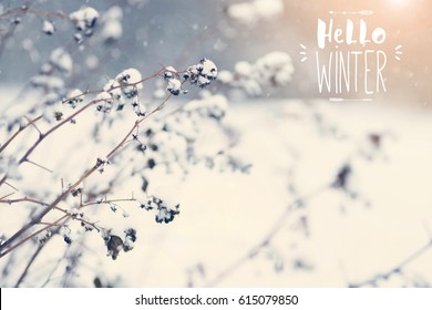 Hand drawing Hello Winter inscription and snowfall - Powered by Shutterstock