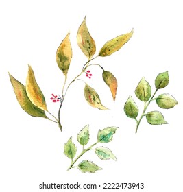 Hand drawn collection of watercolor autumn leaves - Shutterstock ID 2222473943