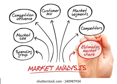 Hand Drawn Market Analysis Diagram Business Stock Photo 240987934 ...