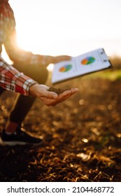 Hand Of Expert Farmer Collect Soil And Checking Soil Health Before Growth A Seed Of Vegetable Or Plant Seedling. Agriculture, Gardening Or Ecology Concept.