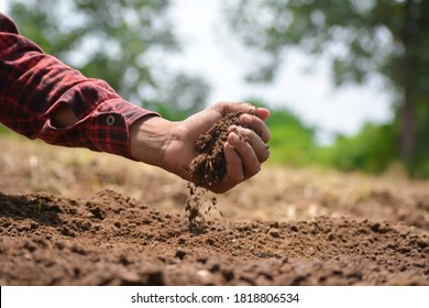Hand Of Farmer Checking Soil Health Before Growth A Seed Of Vegetable Or Plant Seedling. Agriculture Concept.