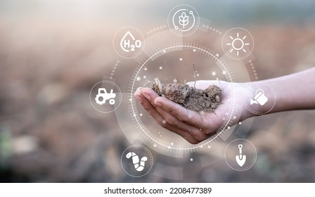Hand of farmer holding the soil with technology icons about the soil care and nutrients and elements in the soil that are necessary for plant growth. - Shutterstock ID 2208477389
