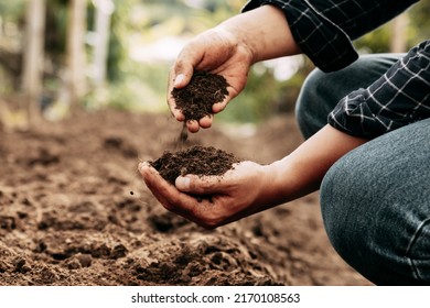 Hand of farmer inspecting soil health before planting in organic farm. Soil quality Agriculture, gardening concept. - Shutterstock ID 2170108563