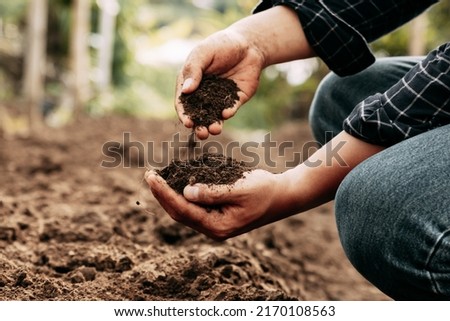 Hand of farmer inspecting soil health before planting in organic farm. Soil quality Agriculture, gardening concept.