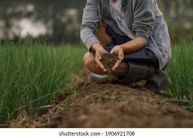 Hand Of Farmer Pouring Soil In Hand To Ground In Middle Farm.