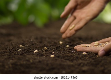 1,841 Loose Ground Soil Images, Stock Photos & Vectors 