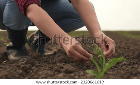 hand farmer sprout, young germ land field, agriculture, farming, business growth development, collaboration lowered farming rescue works caring food teamwork light gently motion preparing thrive