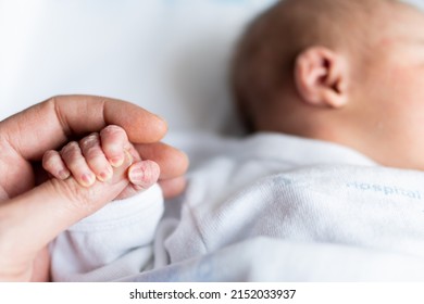 Hand Of A Father Holding The Small Hand Of His Newborn Daughter In The Maternity Hospital. Family Concept, Baby Care And Maternal And Paternal Love