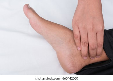 posterior tibialis pulse