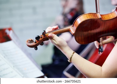 Hand of female violin player musician playing music at entertainment party 