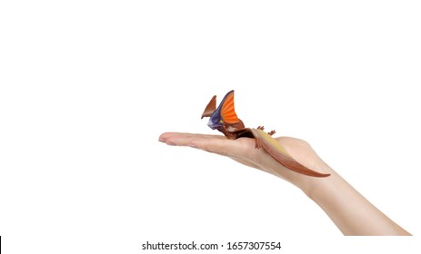 Hand with flying dinosaur toy, rubber pterodactyl for game. Isolated on white background. Copy space, template.