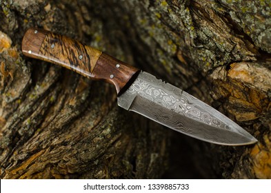 A hand forged damascus knife sitting on a tree stump.  - Powered by Shutterstock