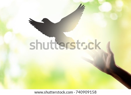 Hand and free bird.