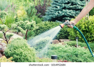 Hand Garden Hose With Water Spray, Watering Flowers, Close-up, Water Splashes, Landscape Design, Alpine Slide