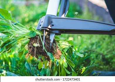 Hand Garden Tools For Pulling Weeds From The Lawn.