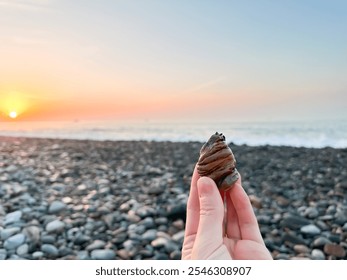 A hand gently holding a seashell on a rocky beach, framed by a glowing sunset. Tranquil seascape evokes peace, freedom, and solitude, perfect for themes of nature, relaxation, and vacation moments - Powered by Shutterstock