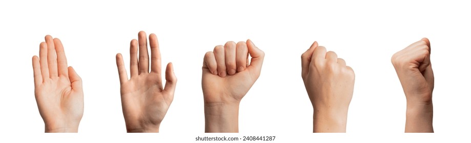 Hand gesture, greeting signs with palm waving hi and fists raised up, isolated on white - Powered by Shutterstock