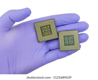 Production Central Processing Units Gloved Hand Stock Photo 1986082550 ...