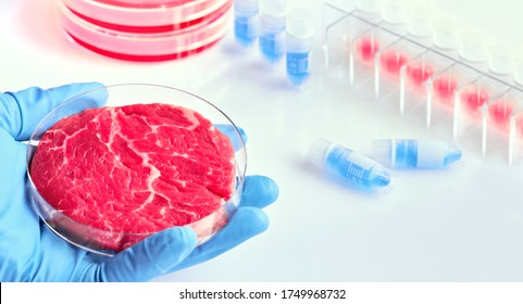 Hand in glove hold meat sample in plastic cell culture dish. Clean cell-based meat. Panoramic composition, concept shot in white, blue, red. Muscle and connective tissue cultured from animal cells. - Shutterstock ID 1749968732