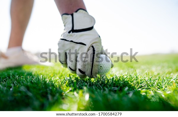 Hand with a glove is placing golf ball on the ground.\
Sport objects related to golf such as gloves, balls. Before start\
of game on green play field. Soft focus or shallow depth of field.\
