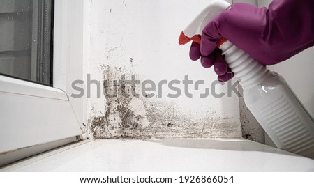 hand in glove sprays the product on angle between door and white wall from black mold.dangerous fungus that needs to be destroyed.It spoils look of house and is very harmful parasite for human health