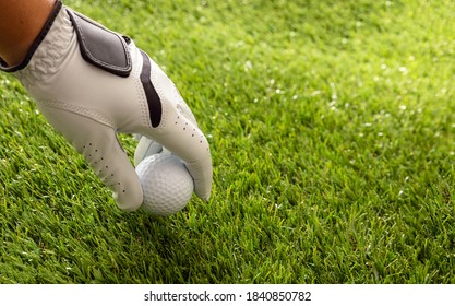 Hand In Golf Glove Holding A Golfball, Green Course Lawn Background, Close Up View. Golfing Sport And Club Concept. Copy Space, Template