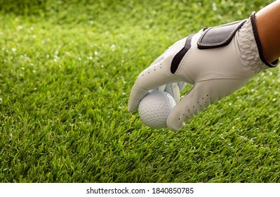 Hand In Golf Glove Holding A Golfball, Green Course Lawn Background, Close Up View. Golfing Sport And Club Concept. Copy Space, Template