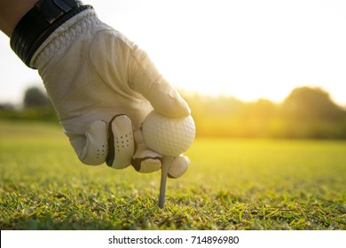 Hand Golfer Put Tee Off With Golf Ball On Grass