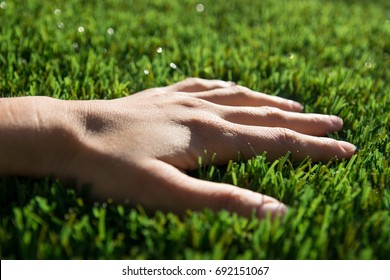 82,374 Lawn hand Images, Stock Photos & Vectors | Shutterstock