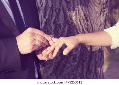 Hand of the groom and the bride wearing a wedding ring on the finger of his bride. - Shutterstock ID 493253611