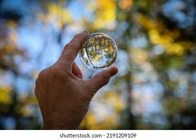 5,470 Hand Held Glass Images, Stock Photos & Vectors 