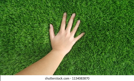 Hand Hi5 On Grass 