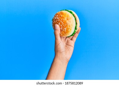 Hand Of Hispanic Man Holding Burger Over Isolated Blue Background.