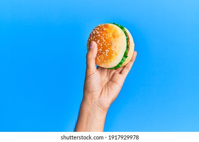 Hand Of Hispanic Man Holding Burger Over Isolated Blue Background.