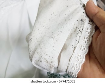 hand hold cloth that affected 260nw 679471081