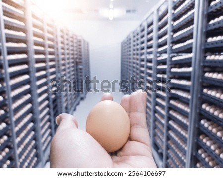 The hand hold the eggs sample for hatching incubation farm on hatchery. Production new born chickens on bussines of poultry farm.