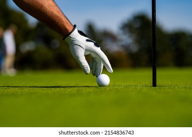 Hand Hold Golf Ball. Golfer Man With Golf Glove. Male Hand With Golf Glove.