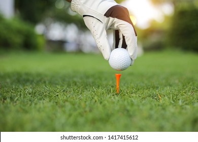 Hand hold golf ball with tee on course, close-up - Powered by Shutterstock