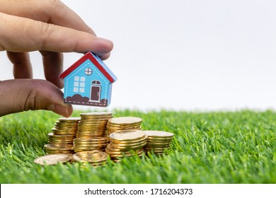 hand hold a home model put on the stack coin with growing. Savings money for buy house and loan to business investment. Concept Of Property Management. Invesment And Risk Management.