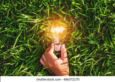 hand hold light bulb on grass  with sunset power energy concept nature
