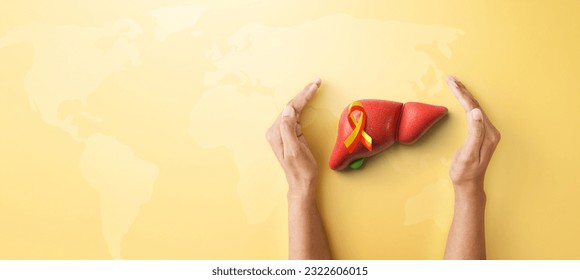 Hand hold liver organ with red yellow awareness ribbon on yellow background for banner of World Hepatitis day on July 28th