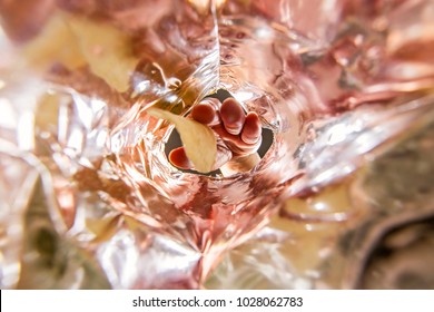 Hand Hold  Potato Chip In Bag.Worm View Inside Bag.