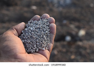 hand holding agriculture fertilizer granules. Concept of role and importance of fertilisers in Agriculture. 
