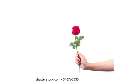 Hand Beautiful Holding Red Rose Images Stock Photos Vectors