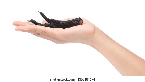 Hand Holding Black Chicken Feet Isolated On White Background